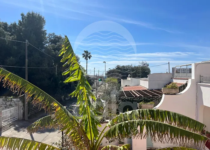 Alya By Cala Salento Torre Lapillo